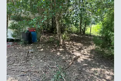 6965 Blossom Hill Road, Wewahitchka, FL 32465 - Photo 6