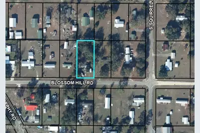 6965 Blossom Hill Road, Wewahitchka, FL 32465 - Photo 2