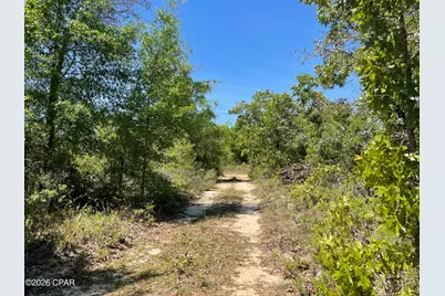 3333 Peppervine Place, Chipley, FL 32428 - Photo 14