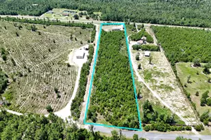 8676 NW County Road 274, Altha, FL 32421 - Photo 42