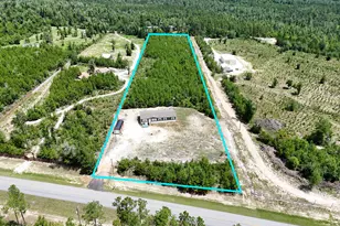 8676 NW County Road 274, Altha, FL 32421 - Photo 40