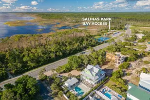 338 Cape San Blas Rd, Port Saint Joe, FL 32456 - Photo 4