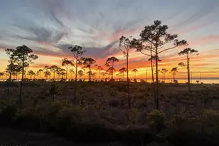2579 State Road 30A, Port Saint Joe, FL 32456 - Photo 66