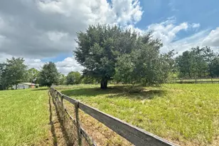 1272 Whitfield Ln, Marianna, FL 32448 - Photo 46