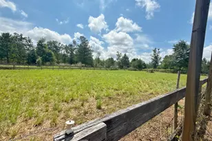 1272 Whitfield Ln, Marianna, FL 32448 - Photo 48
