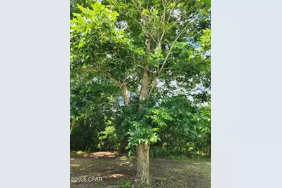 445 Florida 73, Marianna, FL 32448 - Photo 44