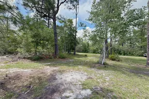 2638 Arpana Cir, Alford, FL 32420 - Photo 38