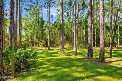6501 Golden Aster Trail, Panama City Beach, FL 32413 - Photo 64