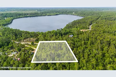 Xxx View Drive, Alford, FL 32420 - Photo 2