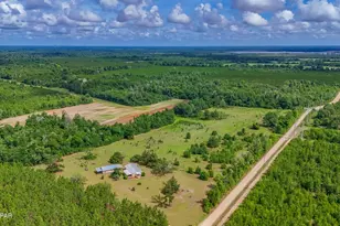 2555 Hollister Rd, Marianna, FL 32446 - Photo 62