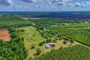 2555 Hollister Rd, Marianna, FL 32446 - Photo 64