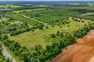 2555 Hollister Rd, Marianna, FL 32446 - Photo 66