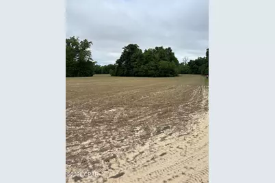 0 Blue Springs Road, Greenwood, FL 32443 - Photo 2