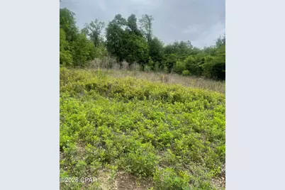 0 Blue Springs Road, Greenwood, FL 32443 - Photo 4