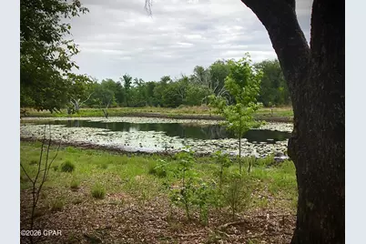 0 Little Zion Road, Sneads, FL 32460 - Photo 4