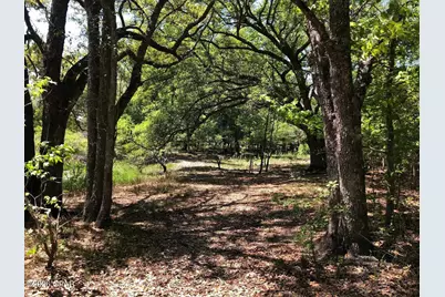 0 Little Zion Road, Sneads, FL 32460 - Photo 2