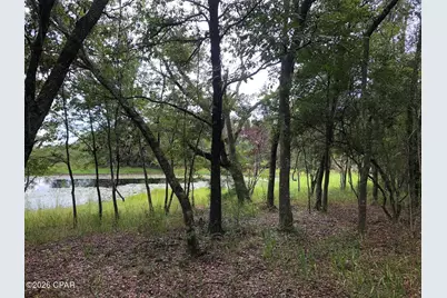 0 Little Zion Road, Sneads, FL 32460 - Photo 10