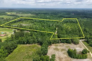 1962 Mud Hill Rd, Chipley, FL 32428 - Photo 44