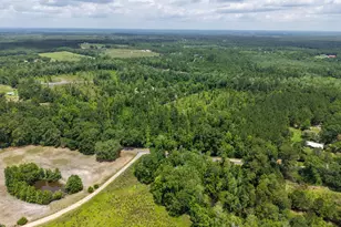 1962 Mud Hill Rd, Chipley, FL 32428 - Photo 48