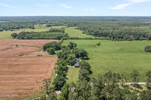 1561 Snell Rd, Chipley, FL 32428 - Photo 46