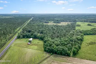 2959 Hwy 277, Vernon, FL 32462 - Photo 48