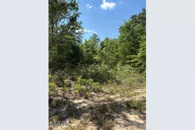 00 Pasofino Lane #M-2, Alford, FL 32420 - Photo 1