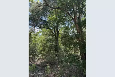 0 Pasofino Lane #M2-B3, Alford, FL 32420 - Photo 30