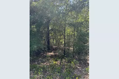 0 Pasofino Lane #M2-B3, Alford, FL 32420 - Photo 36