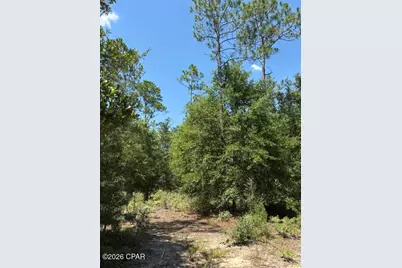 0 Pasofino Lane #M2-B3, Alford, FL 32420 - Photo 6