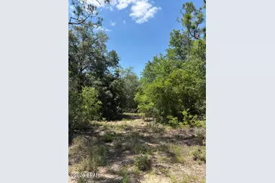 0 Pasofino Lane #M2-B3, Alford, FL 32420 - Photo 12