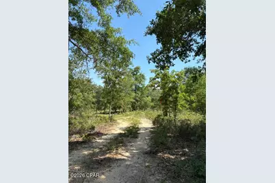 0 Pasofino Lane #M2-B3, Alford, FL 32420 - Photo 24