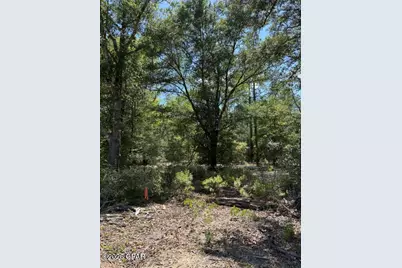 0 Pasofino Lane #M2-B3, Alford, FL 32420 - Photo 1