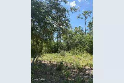 0 Pasofino Lane #M2-B3, Alford, FL 32420 - Photo 8