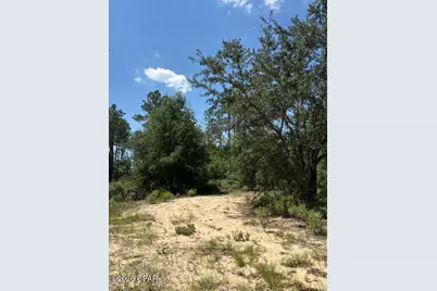 0 Pasofino Lane #M2-B3, Alford, FL 32420 - Photo 4