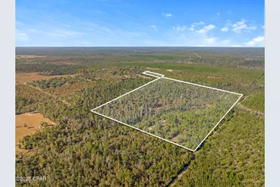 Tbd NW Nw Cr 274, Altha, FL 32421 - Photo 1