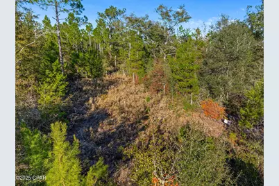 Tbd NW Nw Cr 274, Altha, FL 32421 - Photo 2