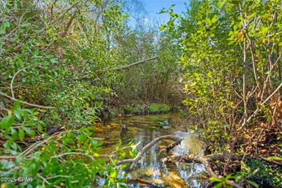 Tbd NW Nw Cr 274, Altha, FL 32421 - Photo 4