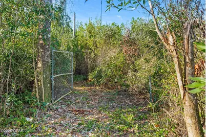 Tbd NW Nw Cr 274, Altha, FL 32421 - Photo 6