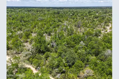 0000 Ross Road, Fountain, FL 32438 - Photo 4