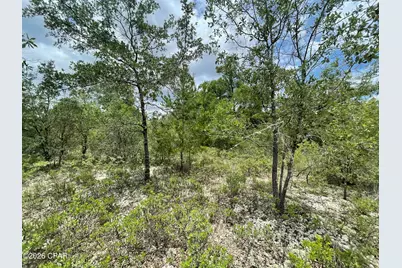 0000 Ross Road, Fountain, FL 32438 - Photo 8