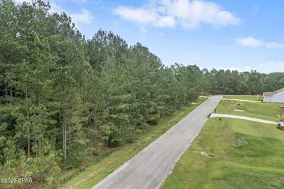 Xxx Madison Lane, Chipley, FL 32428 - Photo 2