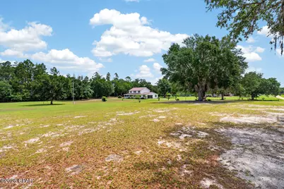 2242 Highway 231, Cottondale, FL 32431 - Photo 28