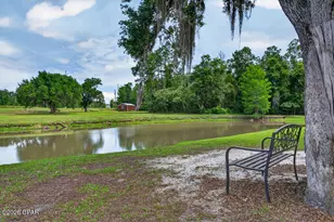 2242 Hwy 231, Cottondale, FL 32431 - Photo 48