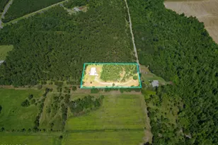 20369 NE Terry Varnum Rd, Altha, FL 32421 - Photo 20
