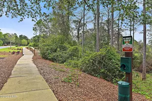 1415 Salamander Trail, Panama City Beach, FL 32413 - Photo 64