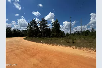 0 Ocala Drive, Alford, FL 32420 - Photo 14