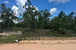 0 Ocala Dr, Alford, FL 32420 - Photo 1
