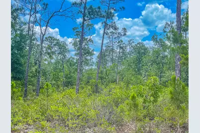 0000 Cracked Egg Lane, Chipley, FL 32428 - Photo 8