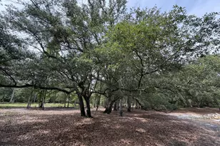 4304 Thunder Rd, Sneads, FL 32460 - Photo 24