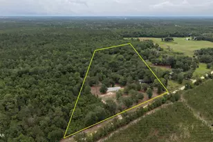 4304 Thunder Rd, Sneads, FL 32460 - Photo 2